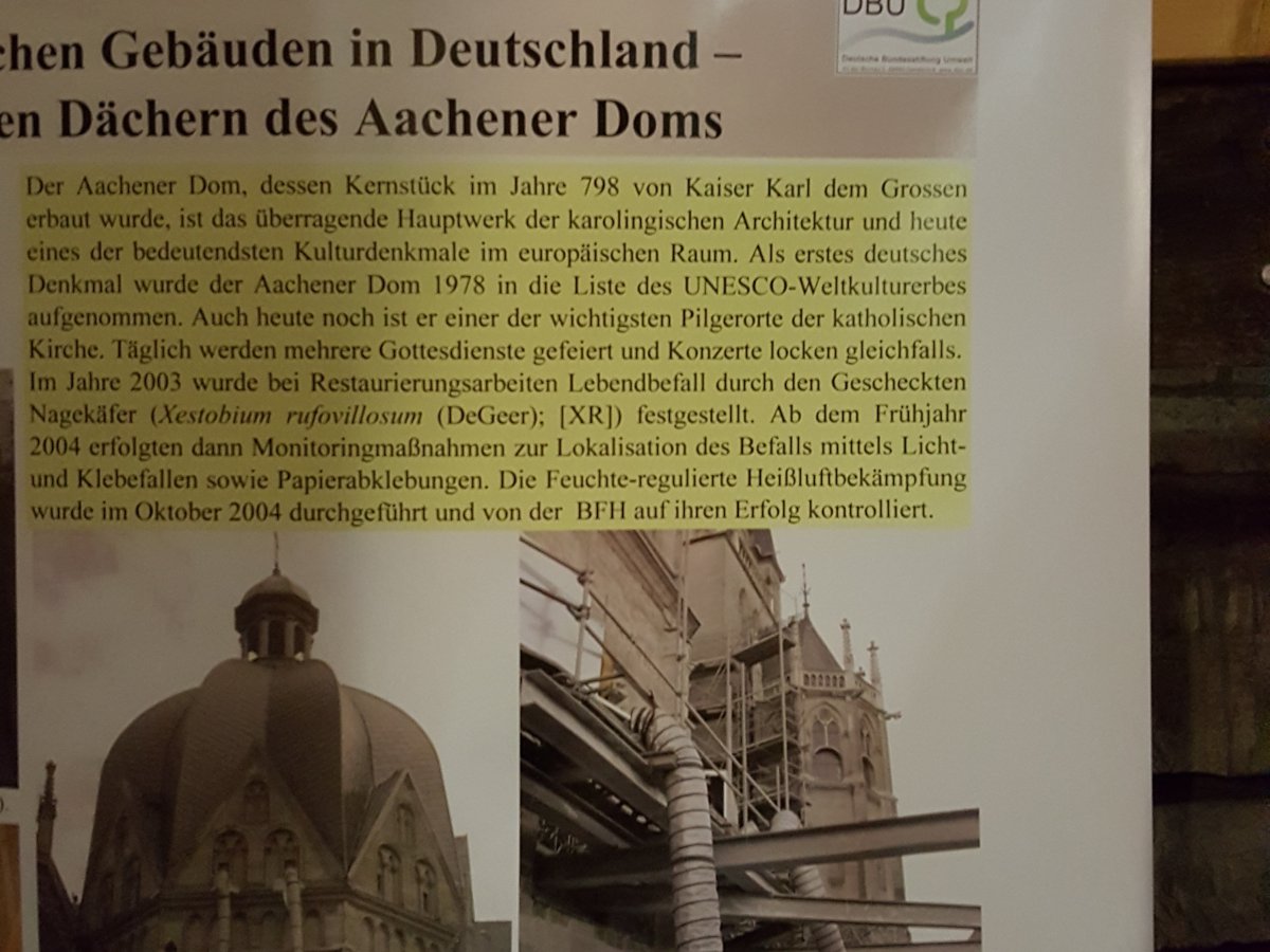 Dombesichtigung