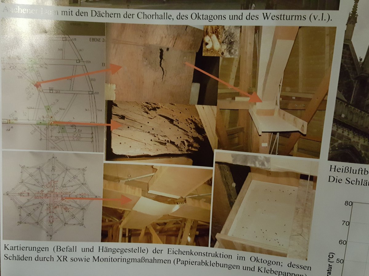 Dombesichtigung