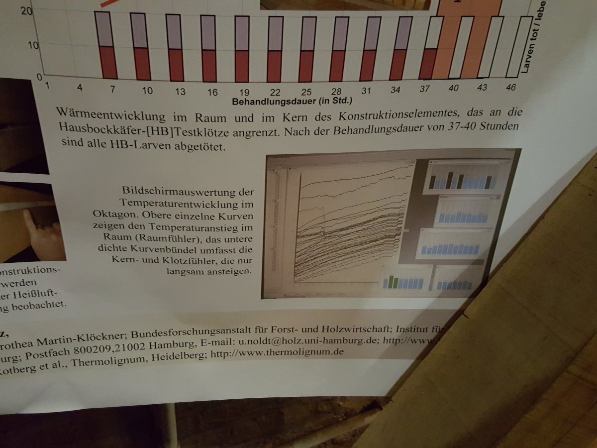 Dombesichtigung